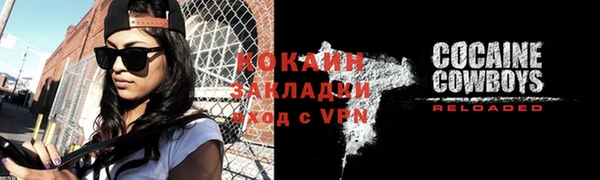 сатива Карпинск