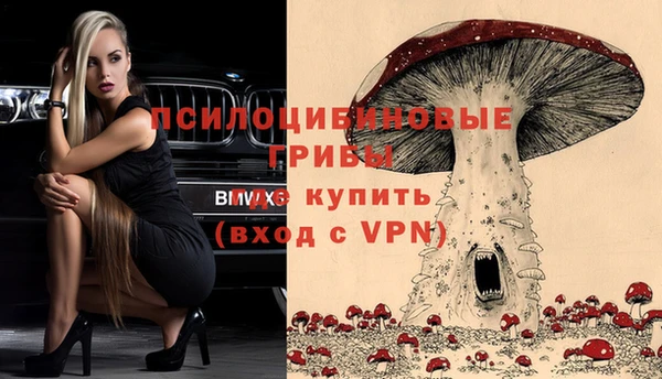 mdpv Касимов