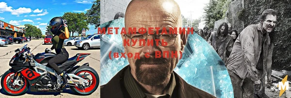 сатива Карпинск
