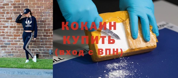 сатива Карпинск