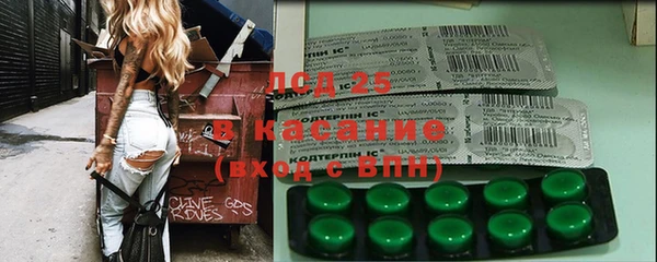 сатива Карпинск