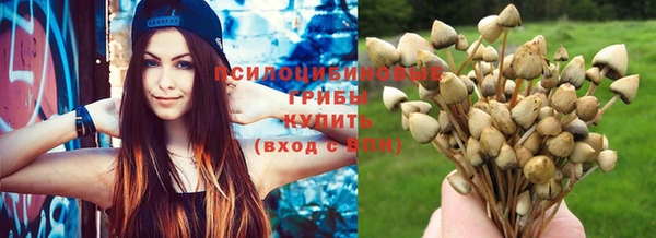 mdpv Касимов
