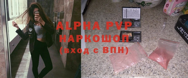 сатива Карпинск