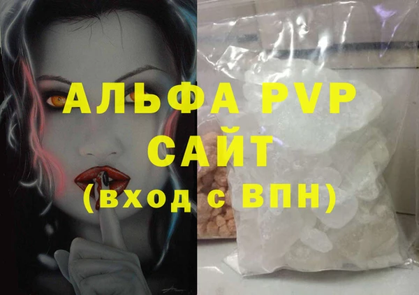 сатива Карпинск