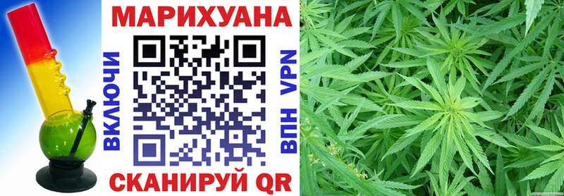 Купить где  Котово  Конопля семена 